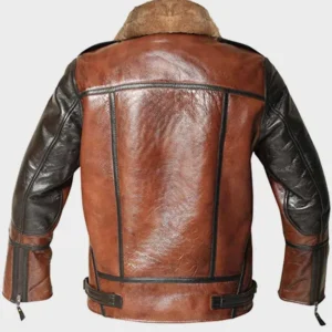 Mens Aviator B3 Bomber Dark Chocolate Brown Jacket Back