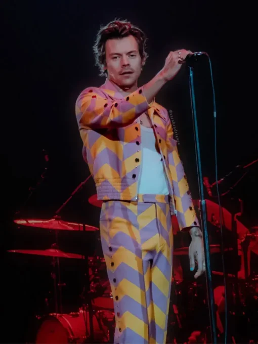 Harry Style Love on Tour Concert 2022 Tracksuit right