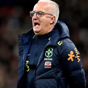 Buy Brazil National Team Dorival Junior Puffer Coat For Sale Men And Women