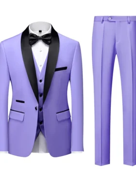 Mens Purple Shawl Lapel Three Pieces Suit