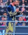 WWE Seth Rollins RAW Golden Peacock Long Coat right