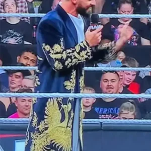 WWE Seth Rollins RAW Golden Peacock Long Coat right