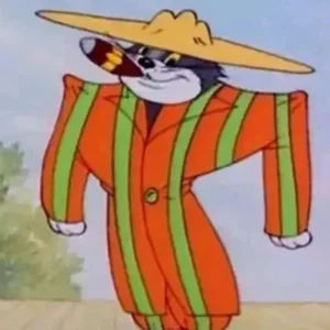 Tom and Jerry Suit Front