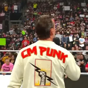 CM Punk Sweatshirt Back Look