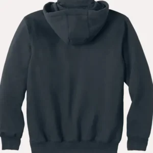 Carhartt Paxton Heavyweight Hoodie Blue Color Back look