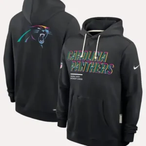 Carolina Panthers 2025 Black Crucial Catch Hoodie Back Look