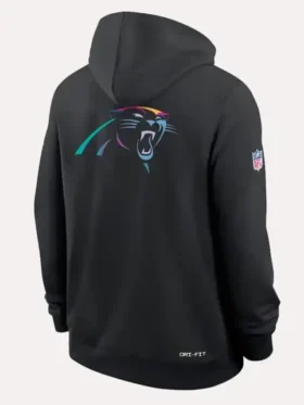 Carolina Panthers 2025 Black Crucial Catch Hoodie Back Look