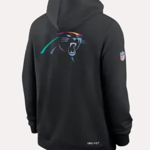Carolina Panthers 2025 Black Crucial Catch Hoodie Back Look