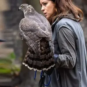 Claire Foy H Is for Hawk Grey Vest Back