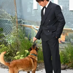 The Dog Stars Premier Jacob Elordi Black Double Breasted Suit For Men