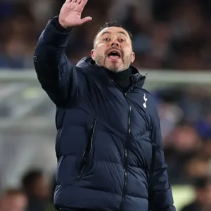 Tottenham Hotspur Roberto De Zerbi Blue Hooded Puffer Jacket