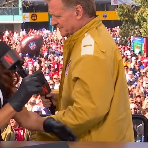 Roger Goodell NFL Kangaroo Mustard Yellow Jacket Sale